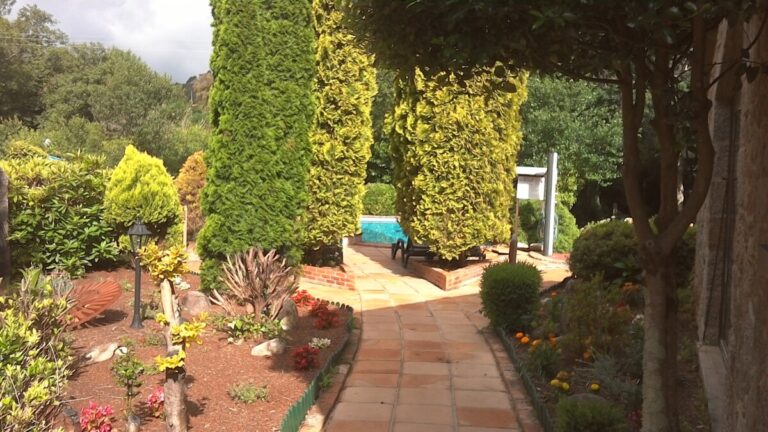 UNA DE LAS ZONAS DEL JARDIN_10_39_56_Pro