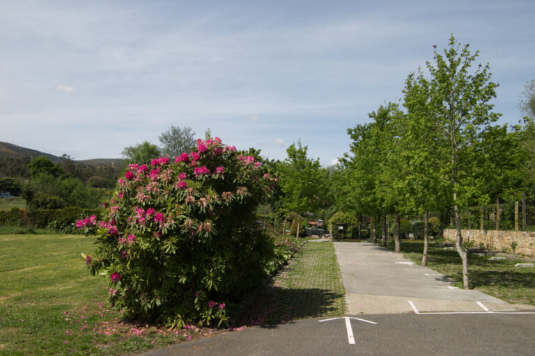 ZONA PARKING_MG_5784